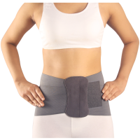 Lumbo Sacral Support <br>(Code – ALX- 2001)