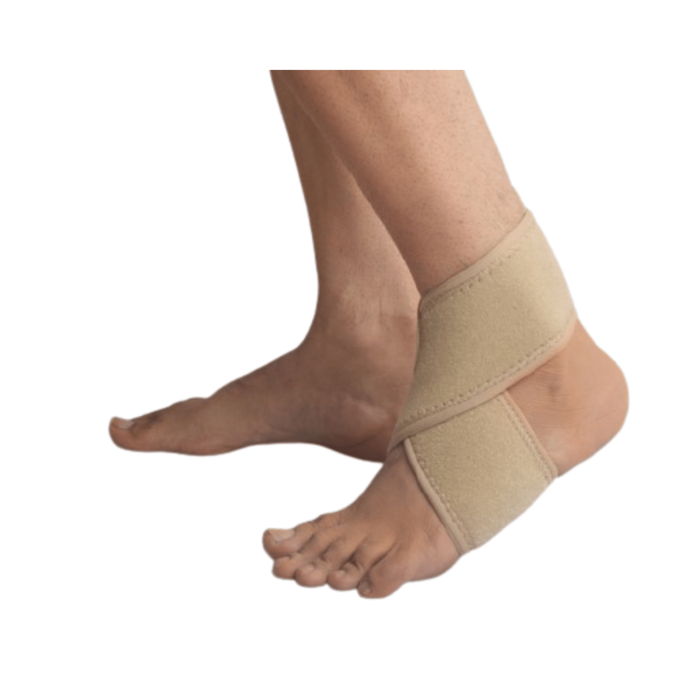Ankle Wrap <br> (Code-ALX- 8003)