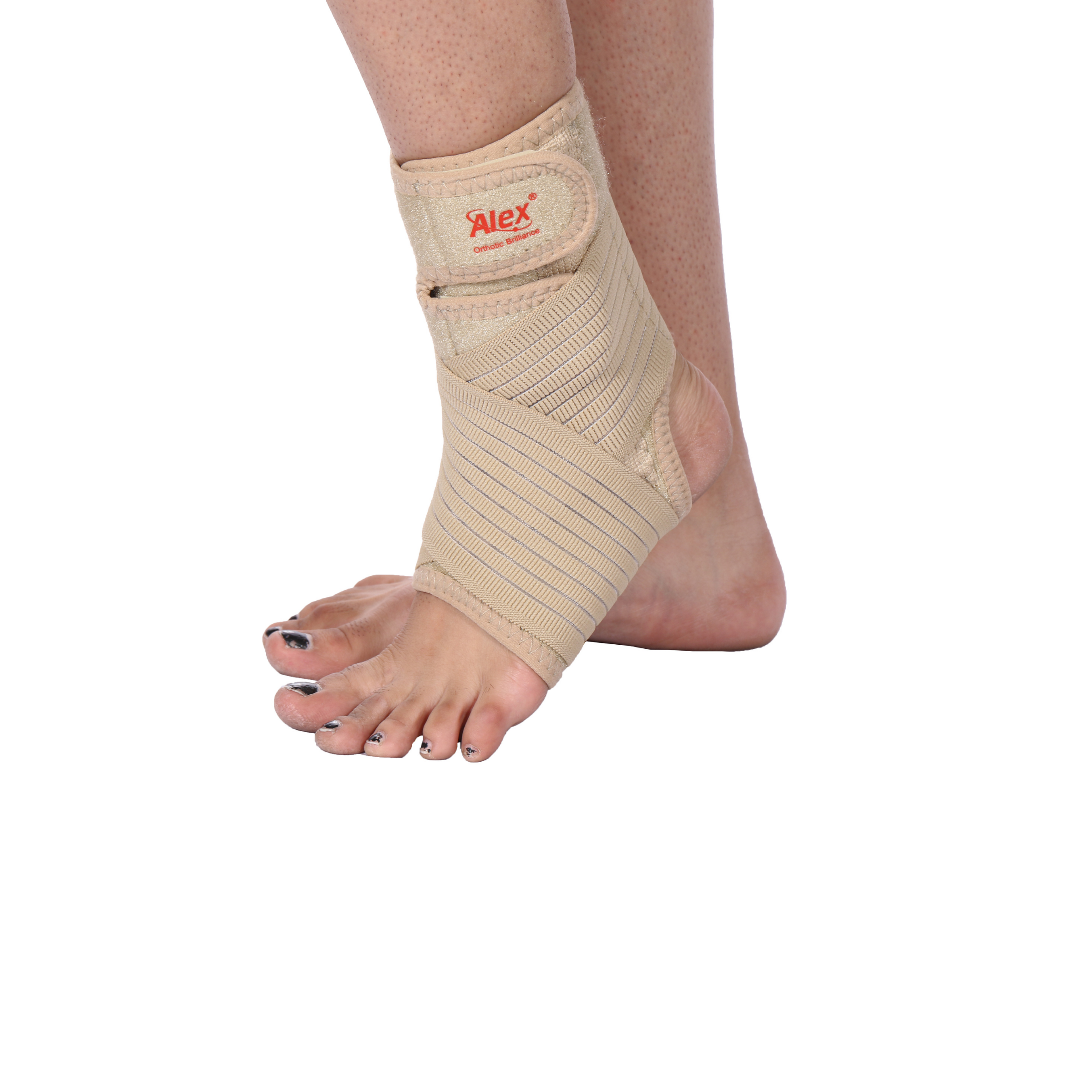Ankle Support <br> (Code-ALX-8015)